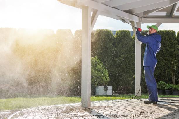 Best Roof Washing  in Bassett, VA